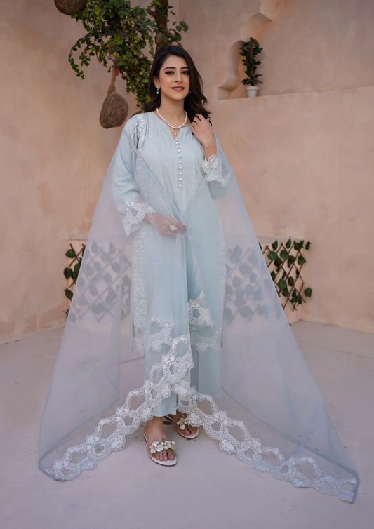 3Pc Embroidered Raw Silk with Organza Embroidered Bordered Dupatta JASHAN-S25-0033