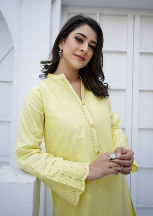 2Pc Schiffli Border Embroidered Lawn JASHAN-S25-0002