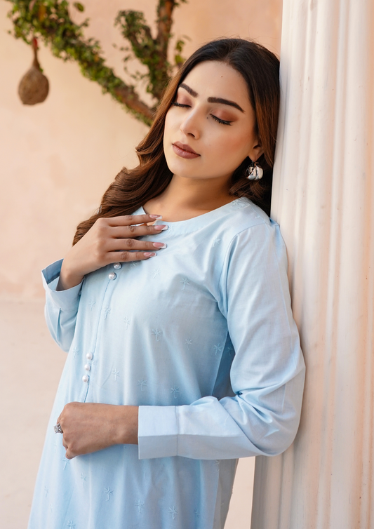 2Pc Schiffli Border Embroidered Lawn JASHAN-S25-0005