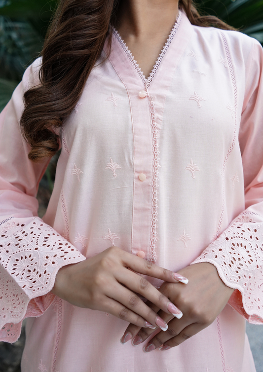 2Pc Schiffli Border Embroidered Lawn JASHAN-S25-0006