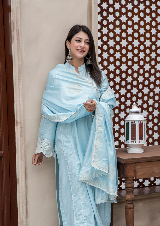 3Pc Siffli Embriodered with block printed tissue silk - S25-0069