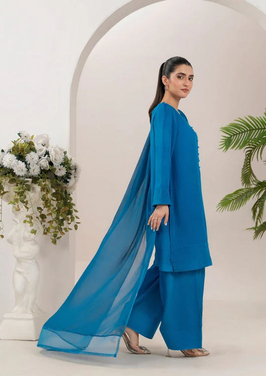 3Pc Raw Silk with Farshi Shalwar ROZANA-S25-0025