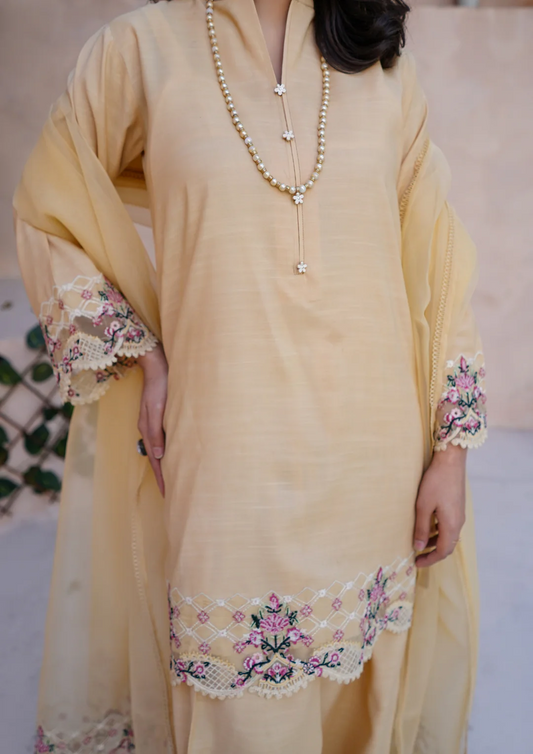 3Pc Embroidered Raw Silk with Farshi Shalwar with Organza Embroidered Bordered Dupatta JASHAN-S25-0038