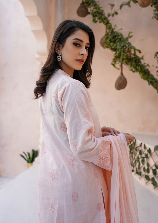 3Pc Embroidered Check Lawn with Embroidered Border Chiffon Dupatta JASHAN-S25-0023