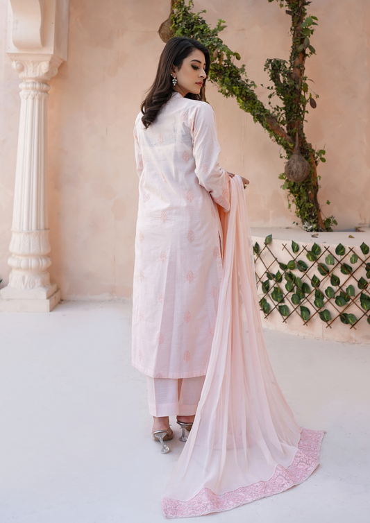 3Pc Embroidered Check Lawn with Embroidered Border Chiffon Dupatta JASHAN-S25-0023