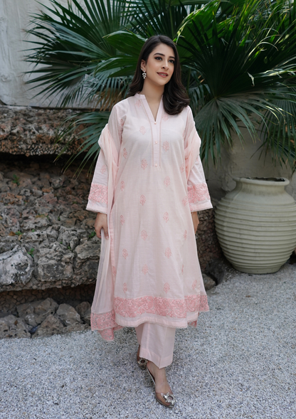 3Pc Embroidered Check Lawn with Embroidered Border Chiffon Dupatta JASHAN-S25-0023