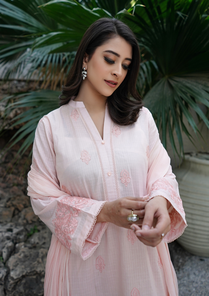 3Pc Embroidered Check Lawn with Embroidered Border Chiffon Dupatta JASHAN-S25-0023