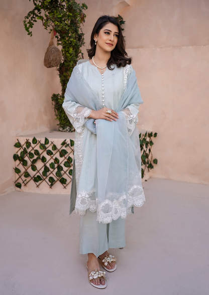 3Pc Embroidered Raw Silk with Organza Embroidered Bordered Dupatta JASHAN-S25-0033