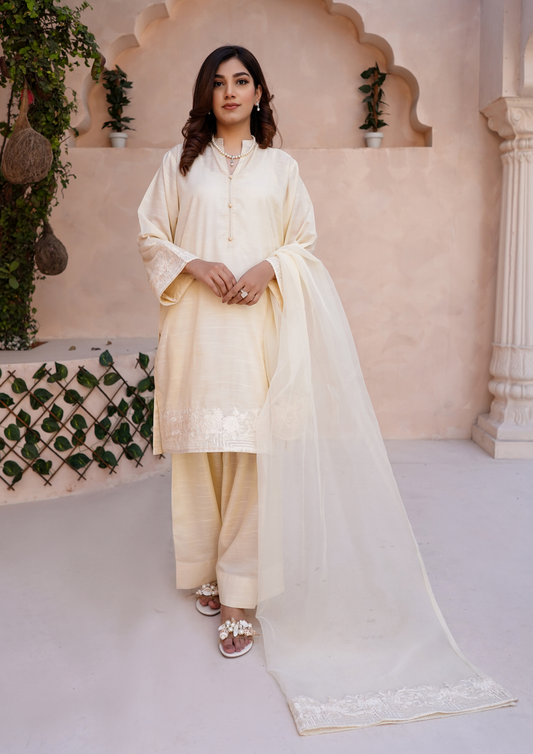 3Pc Embroidered Raw Silk with Farshi Shalwar with Organza Embroidered Bordered Dupatta JASHAN-S25-0039