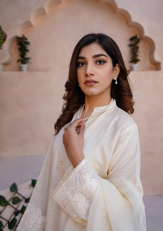 3Pc Embroidered Raw Silk with Farshi Shalwar with Organza Embroidered Bordered Dupatta JASHAN-S25-0039