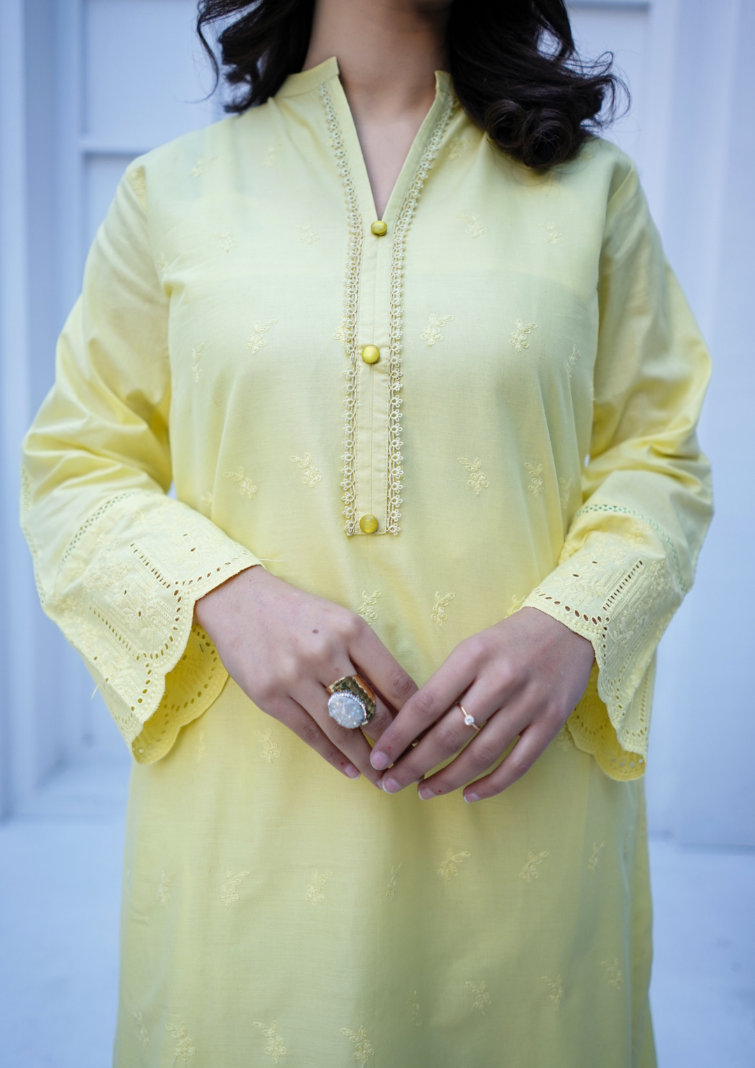 2Pc Schiffli Border Embroidered Lawn JASHAN-S25-0002