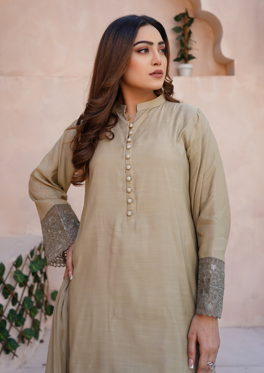 3Pc Embroidered Raw Silk with Farshi Shalwar with Chiffon Embroidered Bordered Dupatta JASHAN-S25-0040