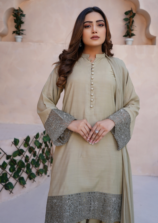 3Pc Embroidered Raw Silk with Farshi Shalwar with Chiffon Embroidered Bordered Dupatta JASHAN-S25-0040