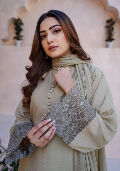 3Pc Embroidered Raw Silk with Farshi Shalwar with Chiffon Embroidered Bordered Dupatta JASHAN-S25-0040