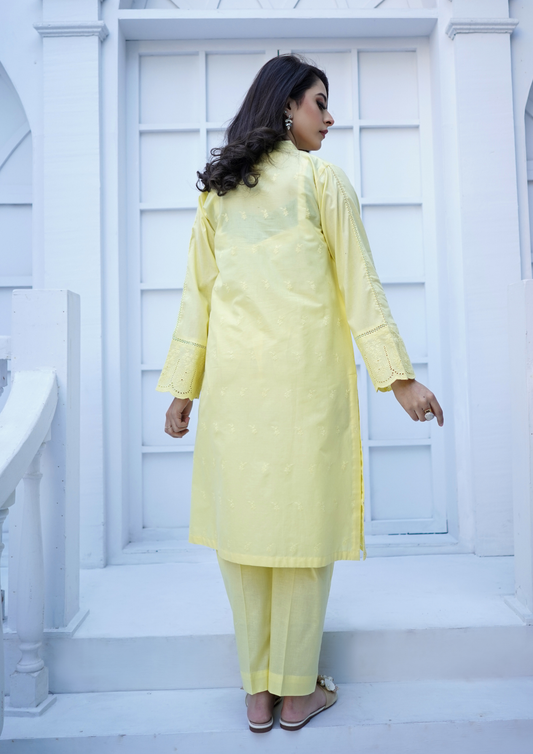 2Pc Schiffli Border Embroidered Lawn JASHAN-S25-0002
