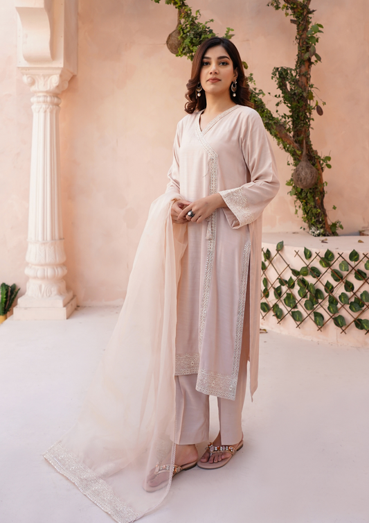 3Pc Angrakha Embroidered Raw Silk with Organza Embroidered Bordered Dupatta JASHAN-S25-0041