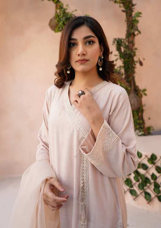 3Pc Angrakha Embroidered Raw Silk with Organza Embroidered Bordered Dupatta JASHAN-S25-0041