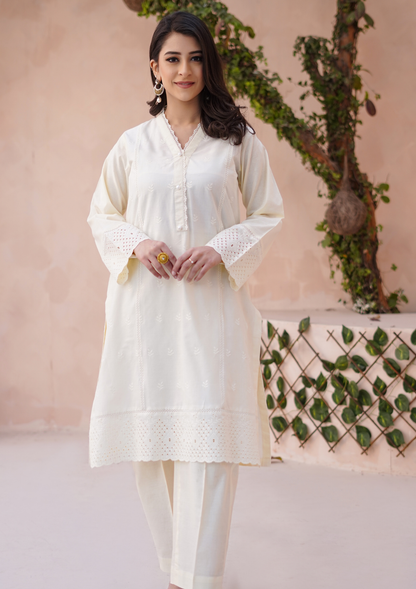 2Pc Schiffli Border Embroidered Lawn JASHAN-S25-0003