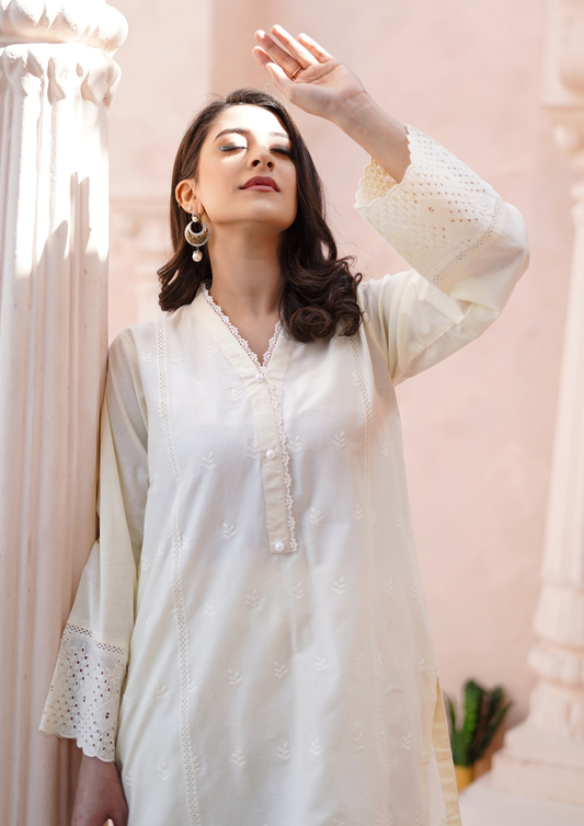 2Pc Schiffli Border Embroidered Lawn JASHAN-S25-0003