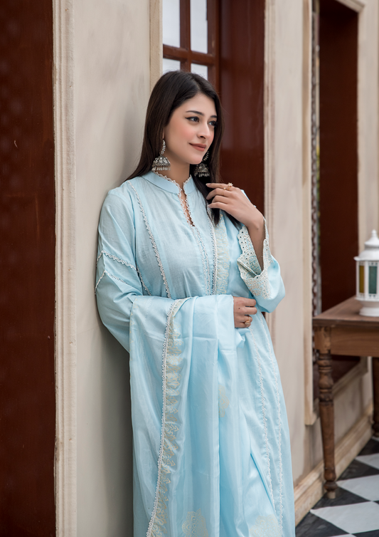 3Pc Siffli Embriodered with block printed tissue silk - S25-0069
