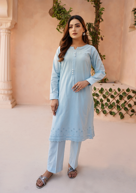 2Pc Schiffli Border Embroidered Lawn JASHAN-S25-0005