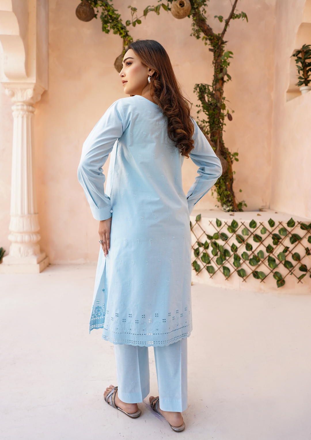 2Pc Schiffli Border Embroidered Lawn JASHAN-S25-0005