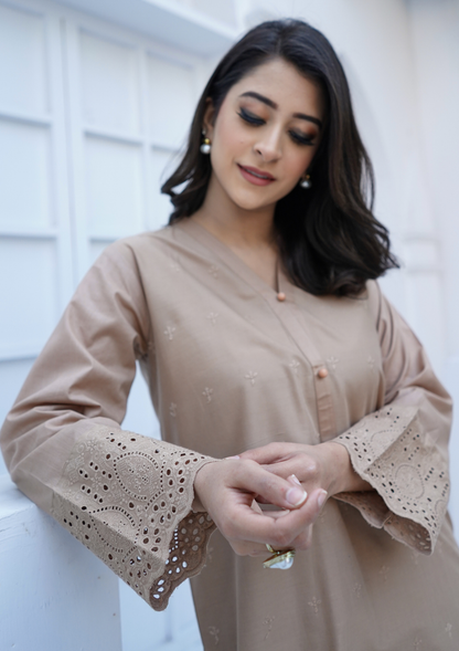 2Pc Schiffli Border Embroidered Lawn JASHAN-S25-0007