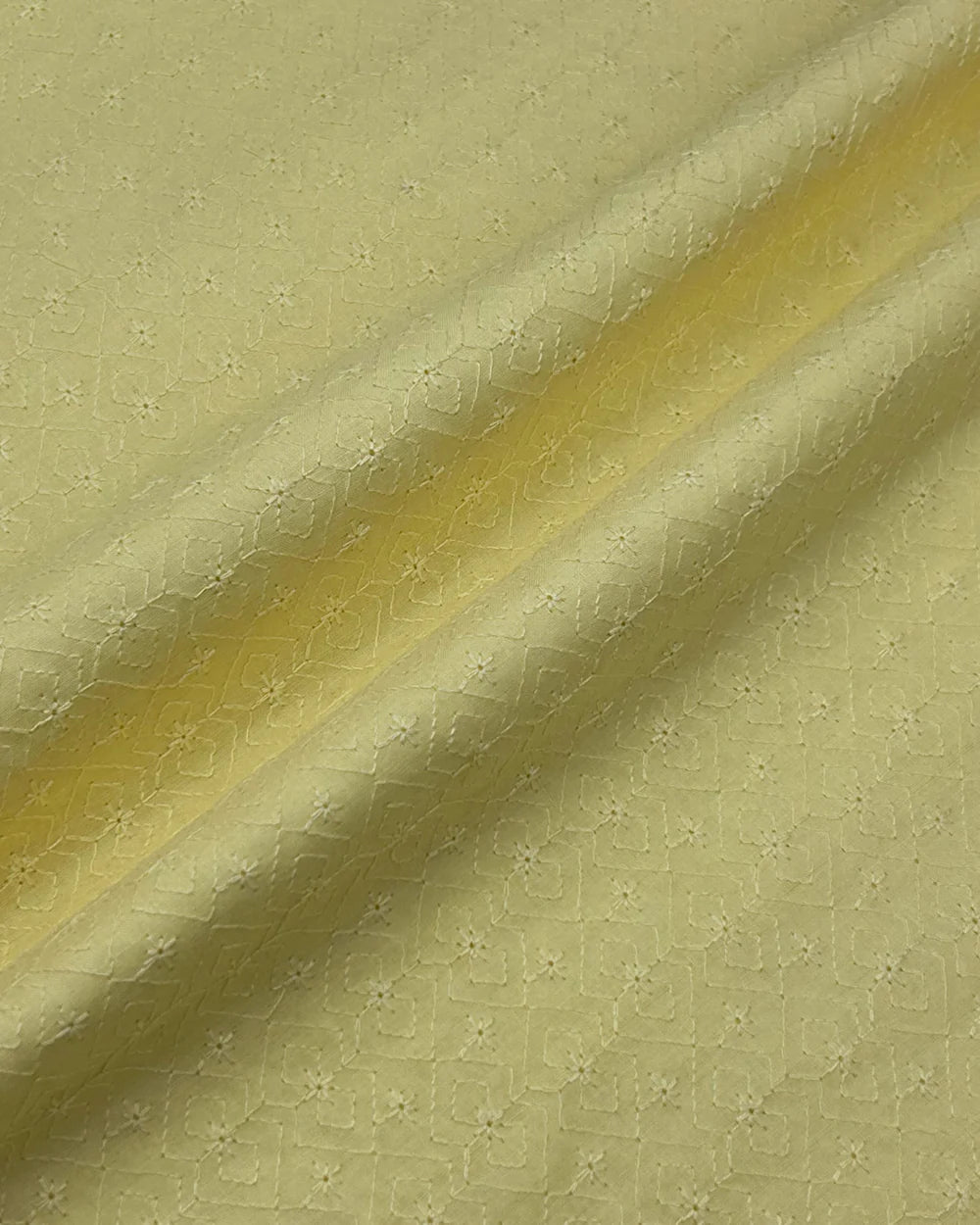 Chikankari Lemon CK-S25-0005