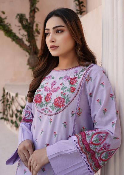 2Pc Embroidered with Block Print Rib Lawn JASHAN-S25-0045