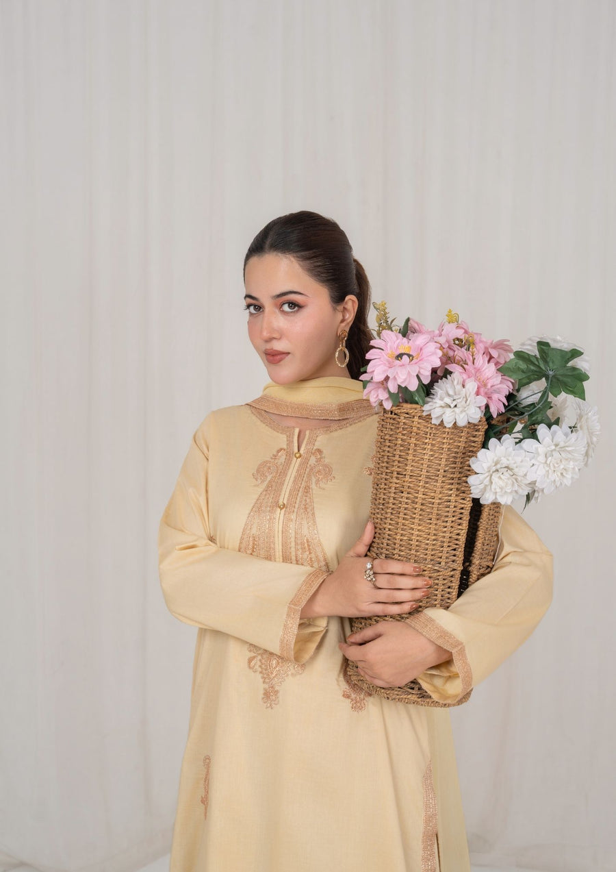 3PC BEIGE EMBROIDERED LAWN WITH CHIFFON DUPATTA lux-R26-0003