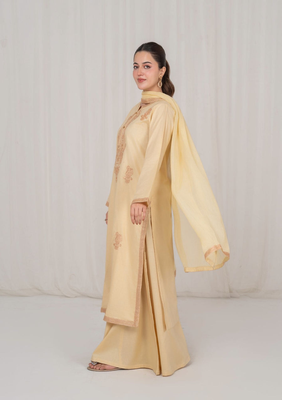 3PC BEIGE EMBROIDERED LAWN WITH CHIFFON DUPATTA lux-R26-0003