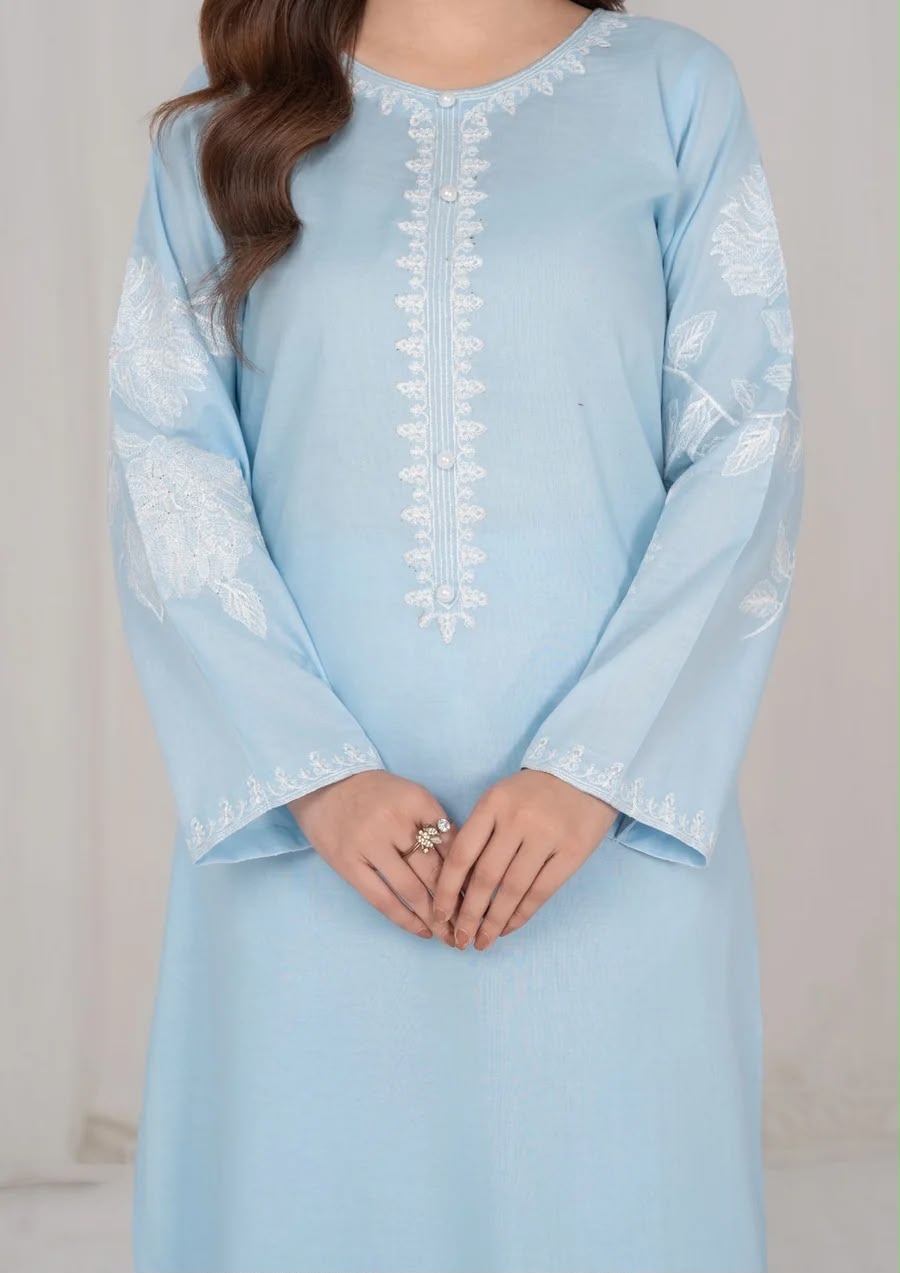 2Pc Ice Blue Embroidered Lawn RIW-R26-0019