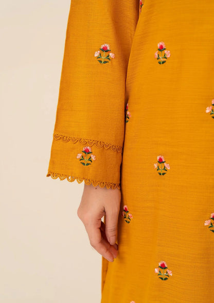 2pc Multi Embroidered Karandi AML-W25-0020