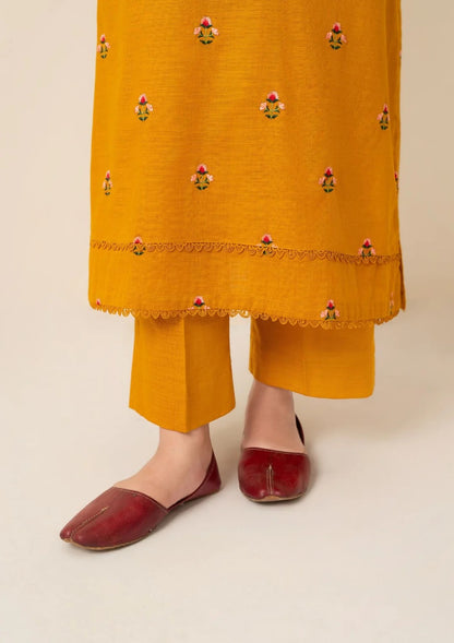 2pc Multi Embroidered Karandi AML-W25-0020