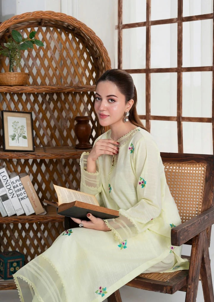 2pc Multi Embroidered Khaddar AML-W25-0004