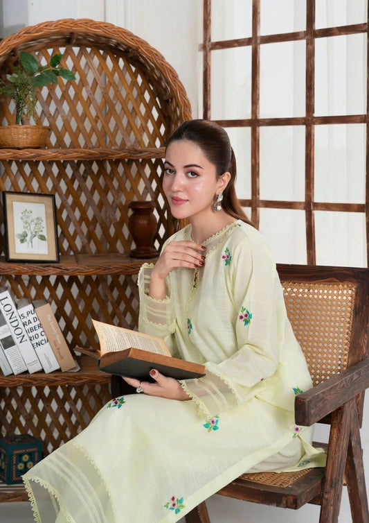 2pc Multi Embroidered Khaddar AML-W25-0004