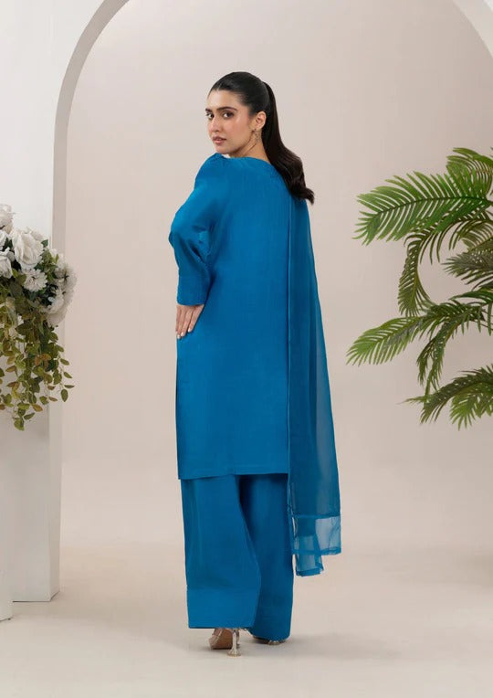 3Pc Raw Silk with Farshi Shalwar ROZANA-S25-0025