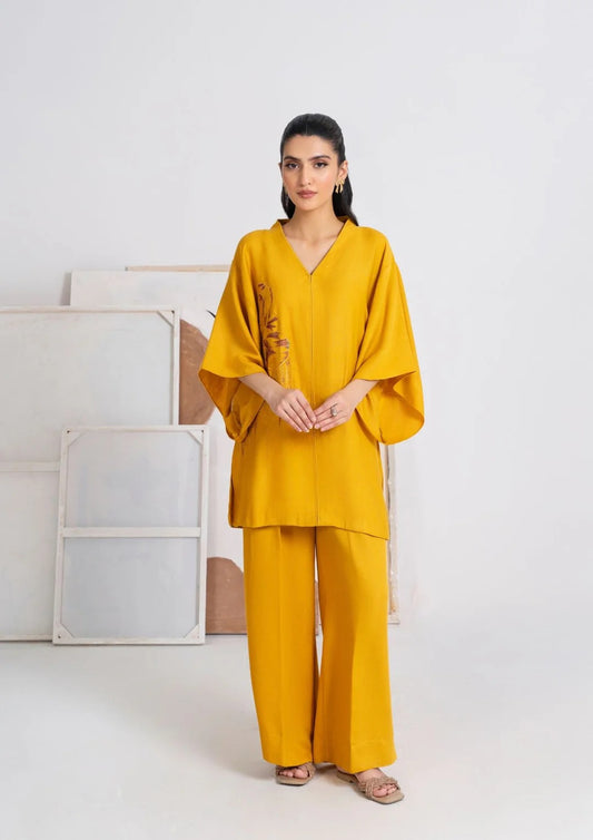 2Pc Embroidered Silk Karandi JUPITER-j25-0020