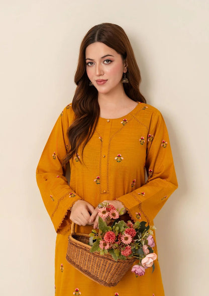 2pc Multi Embroidered Karandi AML-W25-0020