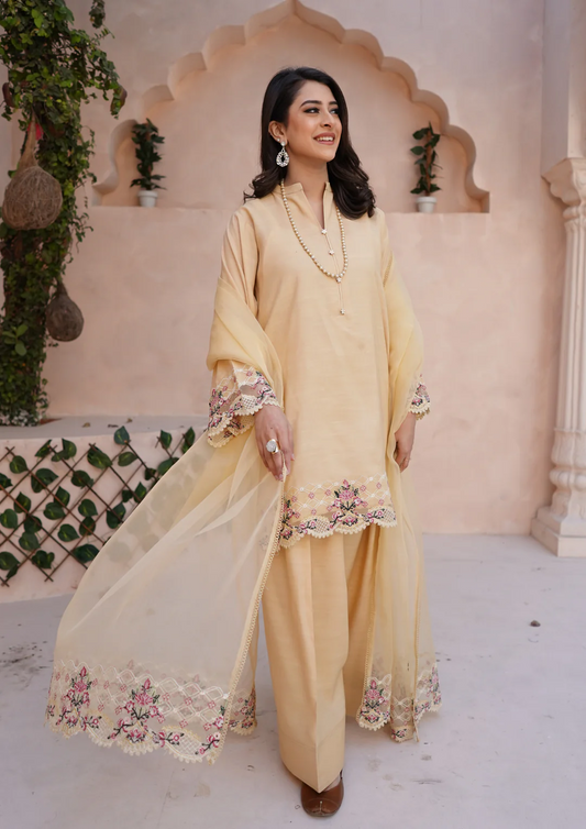 3Pc Embroidered Raw Silk with Farshi Shalwar with Organza Embroidered Bordered Dupatta JASHAN-S25-0038