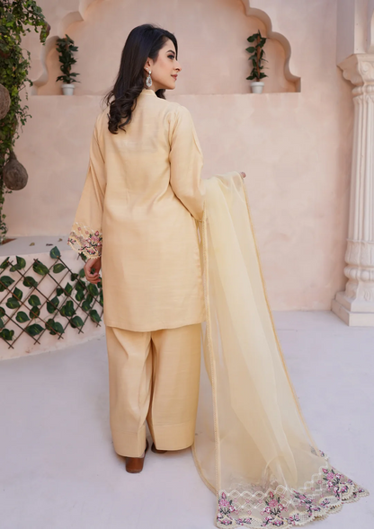 3Pc Embroidered Raw Silk with Farshi Shalwar with Organza Embroidered Bordered Dupatta JASHAN-S25-0038