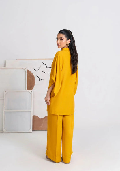 2Pc Embroidered Silk Karandi JUPITER-j25-0020